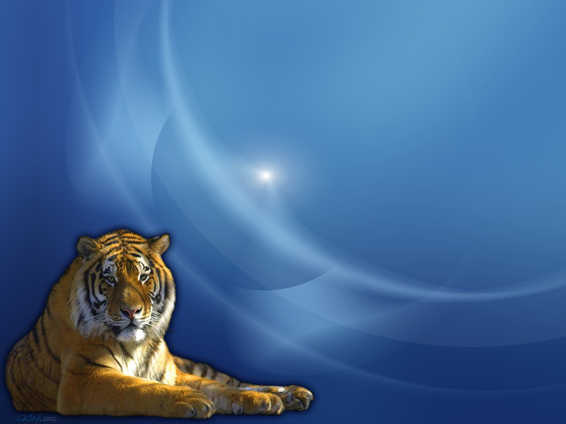 wallpaper tiger. Audio Other Wallpapers: Tiger-