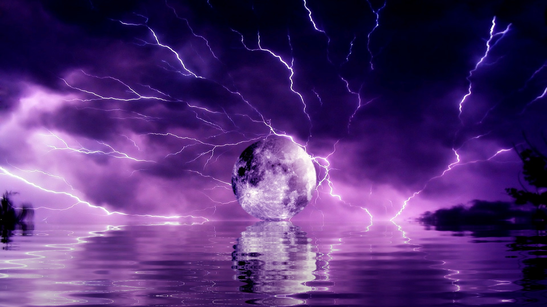 Purple Storm