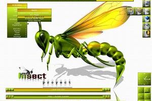 Entomon by pitkon