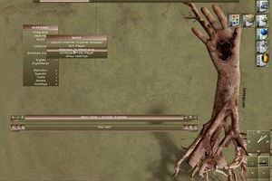 Roots by pitkon