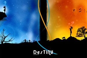 Destiny by homeryulo