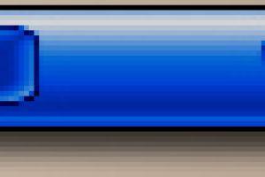 BleuAmp by DS.65