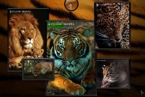 My Favorites- Part 2 BIG CATS by tsims533