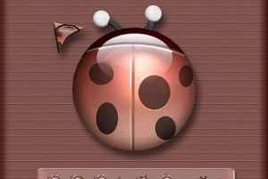 Ladybug by aroche