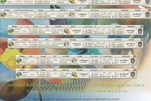 Buuf_SM_Horz_Pack by neophil