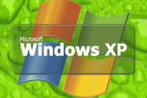 Windows XP Leave by Alperium