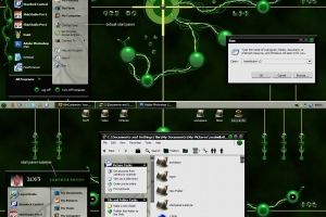 Assimilation V2 by 2 of 3
