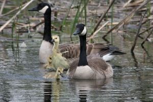 Walking On Water by digitalpix4all