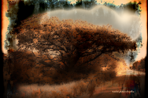 Make believe by teddybearcholla