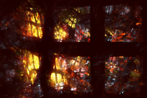 The light beyond by teddybearcholla