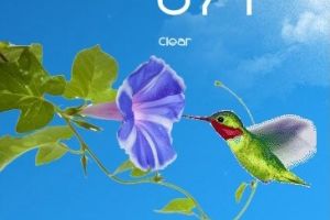 Animated Hummingbird Weather for Rainmeter by Ionstorm_01