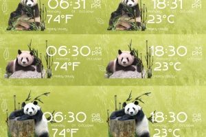 Pandas Time Date and Weather for Rainmeter by Ionstorm_01
