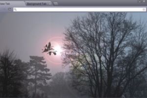 Morning Mists Chrome Theme by jazzilady