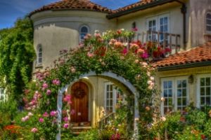 Russian River Rose Garden by netwolf56