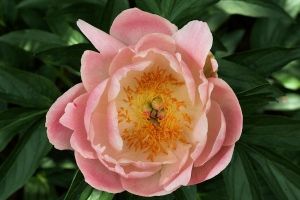 Unwrapped by digitalpix4all
