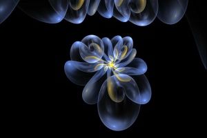 Drop Out by digitalpix4all