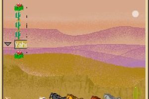 Desert Horses by baberann