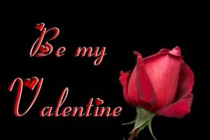 Single Rose by P1Guy