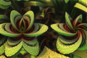 Thumbnail of featured artwork by members: Flower