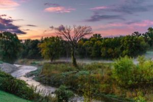 Thumbnail of featured artwork by members: Rogers Creek Morning