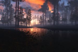 Thumbnail of featured artwork by members: Sunrise at Boulder Creek